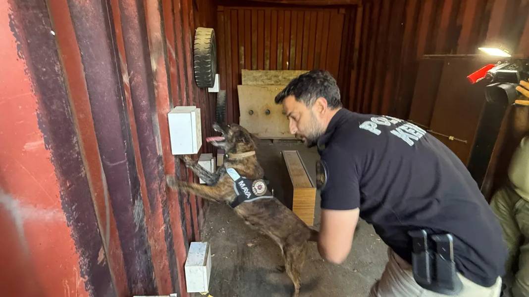 Köpekler Madde Değil Oyuncağını Arıyor 7